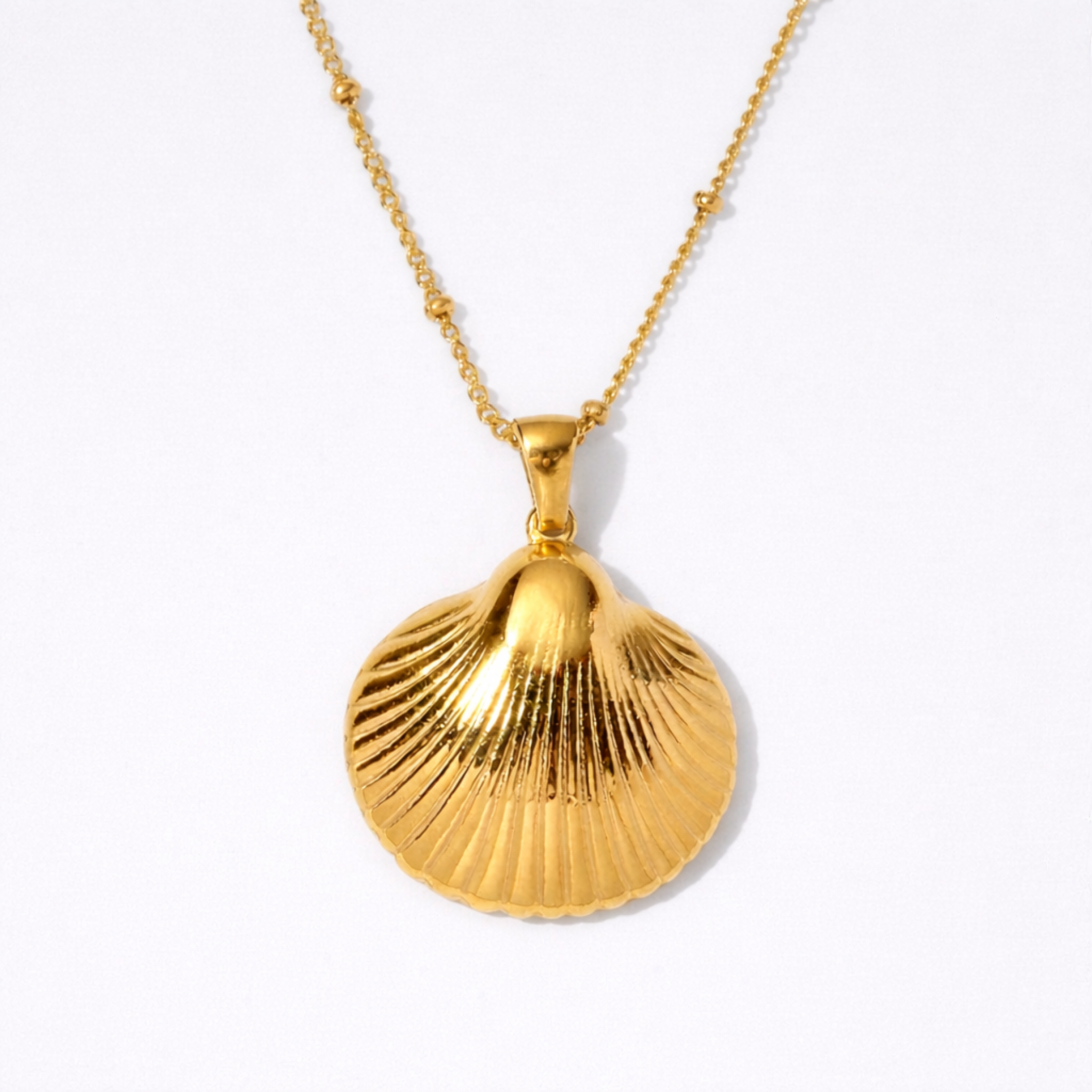 18K gold plated seashell pendant necklace on delicate chain
